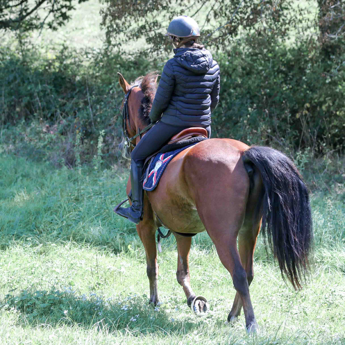 La Doudoune chauffante pour l'équitation : confort et performance au rendez-vous