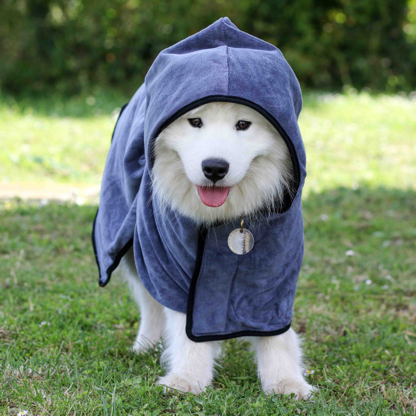 Veste de séchage pour chien Hayraa